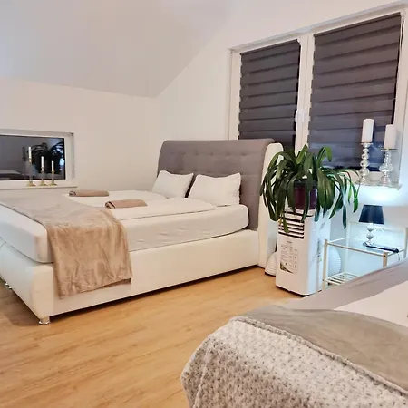 Neue Moderne Europa-park & Rulantica رينغشيم