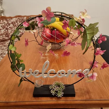 Neue Moderne Europa-park & Rulantica *