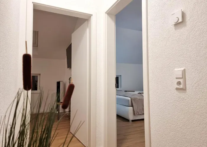 Neue Moderne Europa-park & Rulantica